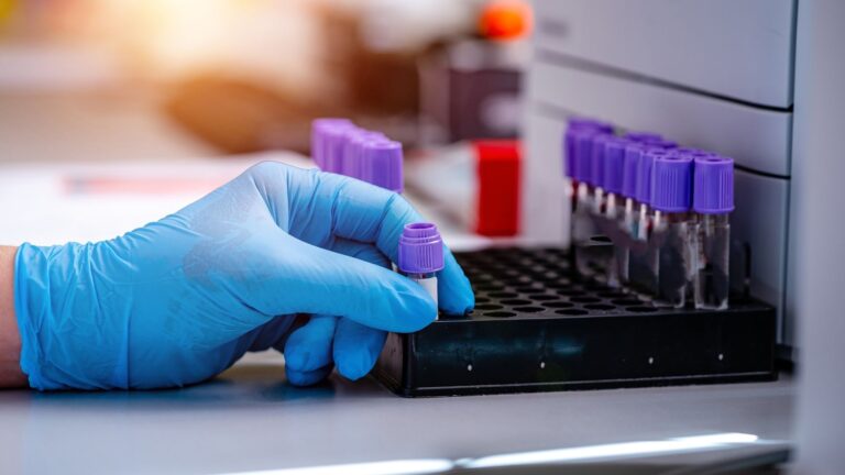 Görüntü İşleme Teknolojisi